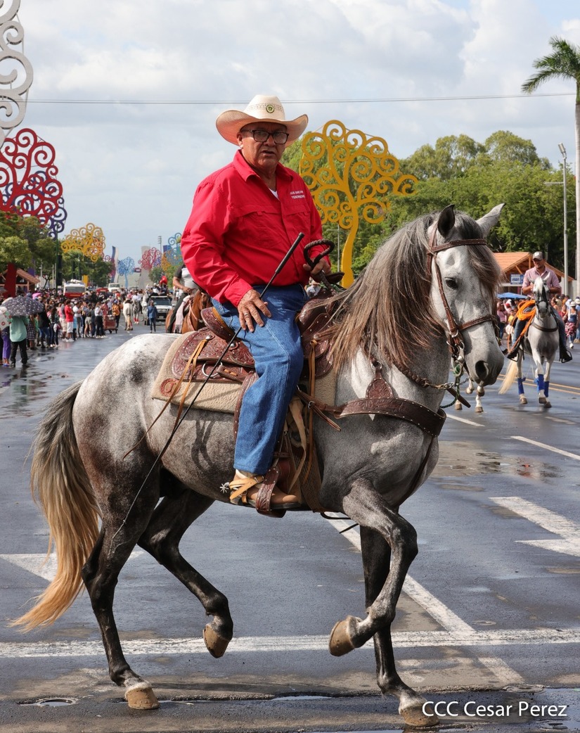 HIPICO